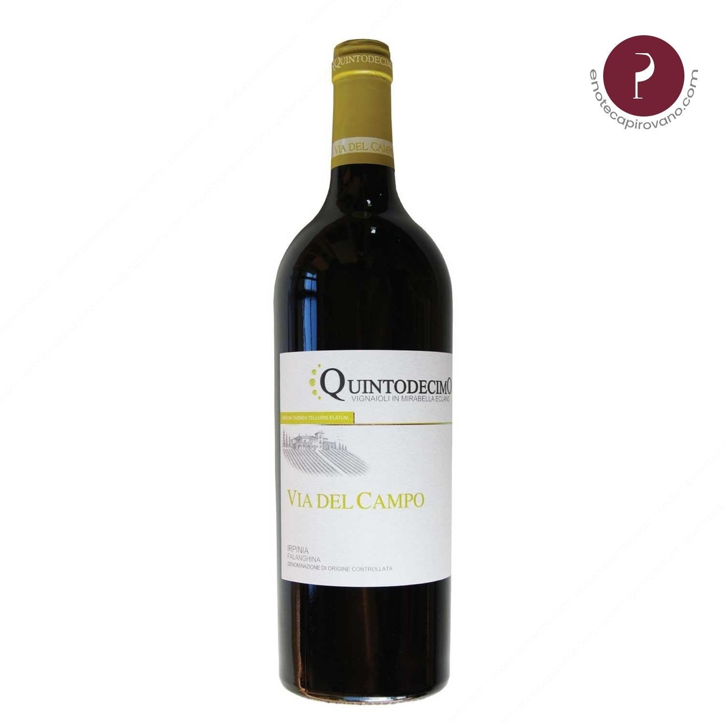 Quintodecimo Via Del Campo Cl 75