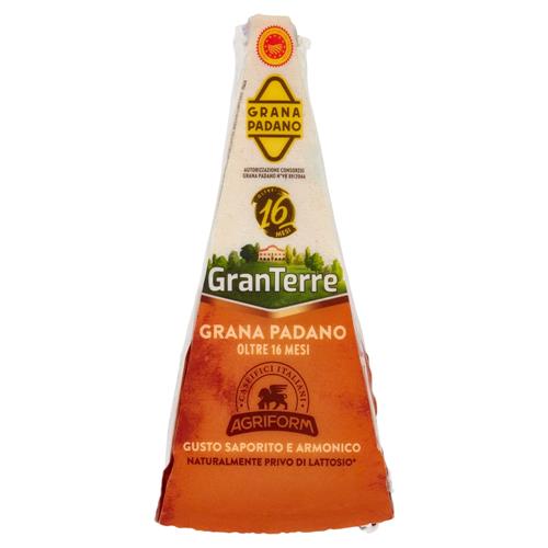 Agriform Grana Padano Gr 500