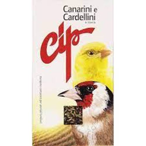 Cip Canarini/Cardellini 375