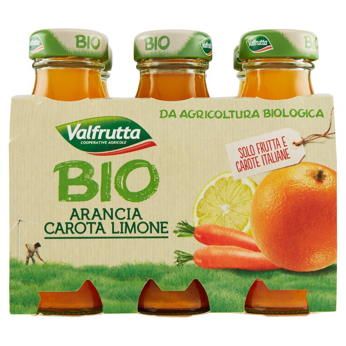 Valfrut Suc Bio X6 Ace Ml 125